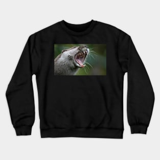 Don`t Mess With The Otter Crewneck Sweatshirt